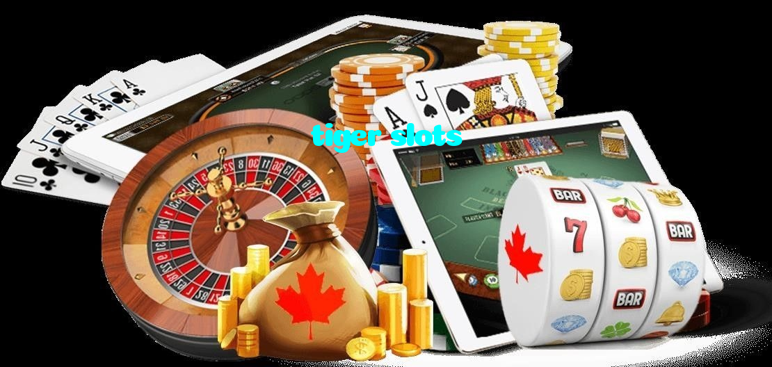available types of tiger slots bet including pre-match live express and system bets